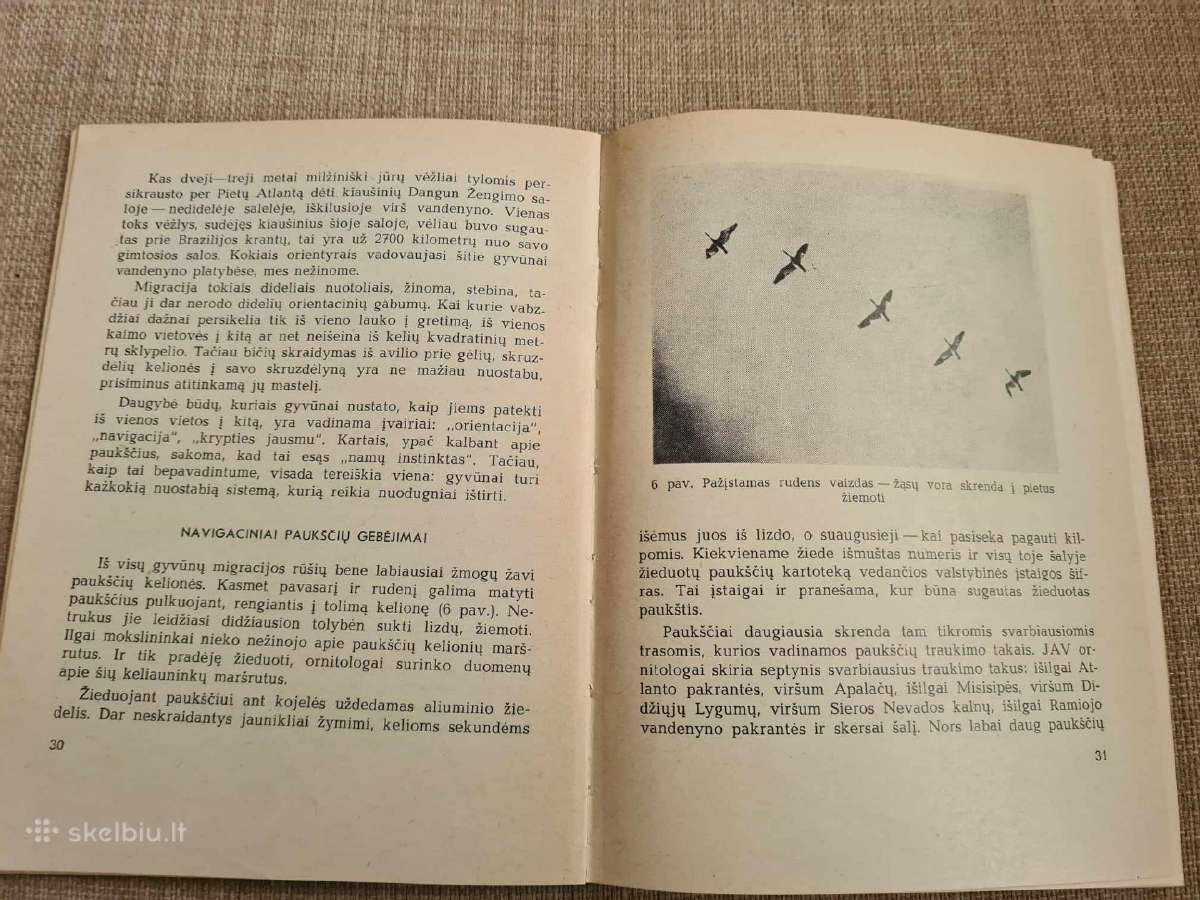Bionika - nuotraukos Nr. 5