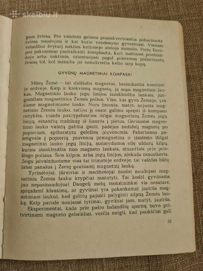 Bionika - nuotraukos Nr. 6
