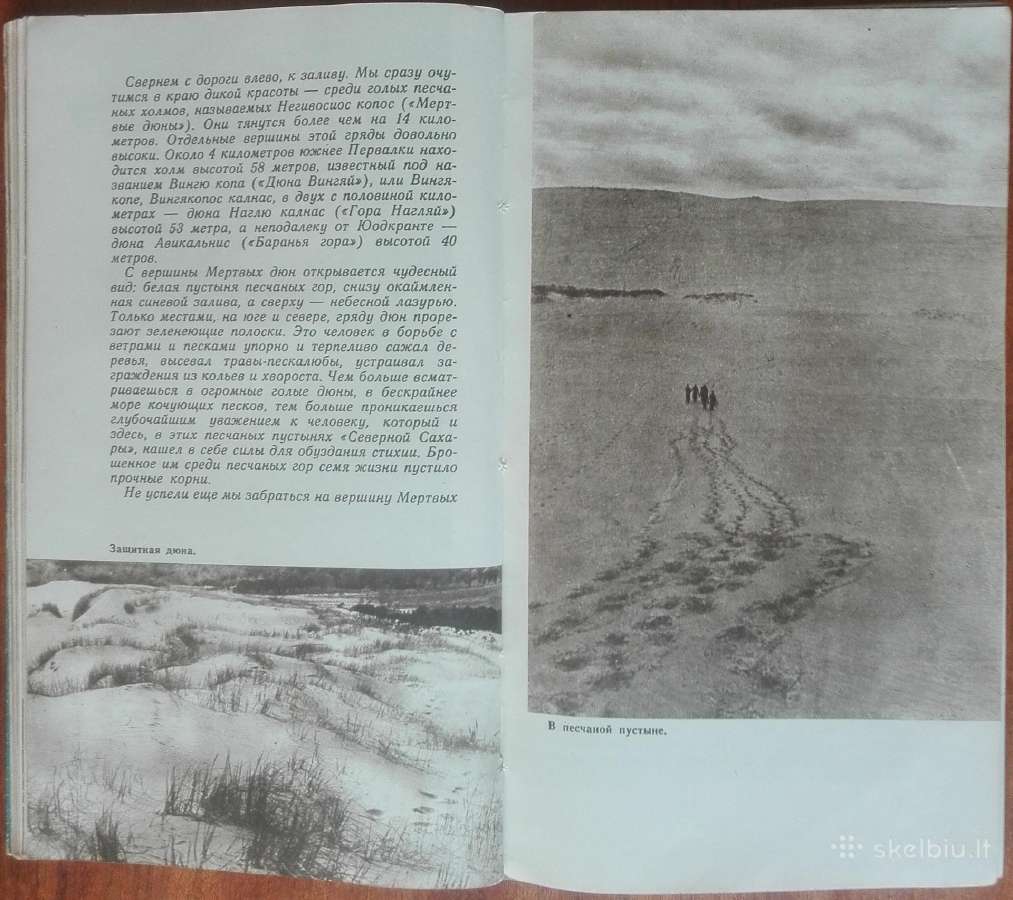 1701. Куршю Неринга antikvarinė-kolekcinė - nuotraukos Nr. 10