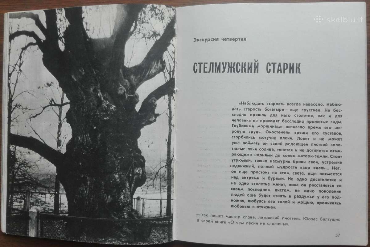 1704. По Зарасайскому Краю antikvarinė-kolekcinė - nuotraukos Nr. 7