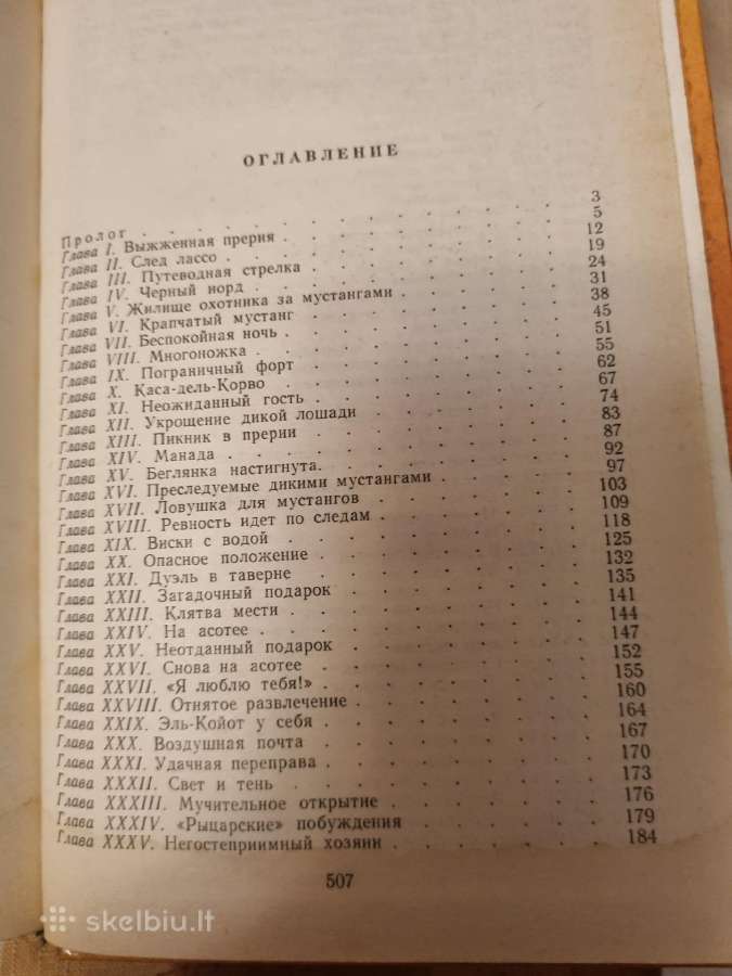 Raitelis be galvos rusu kalba - nuotraukos Nr. 3