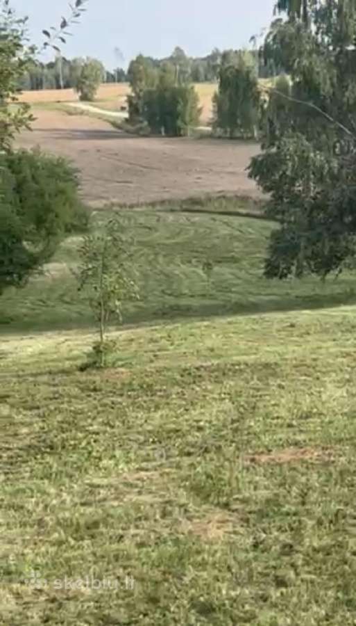 Parduodamas sklypas Peberžės sen. 30km nuo centro - nuotraukos Nr. 5