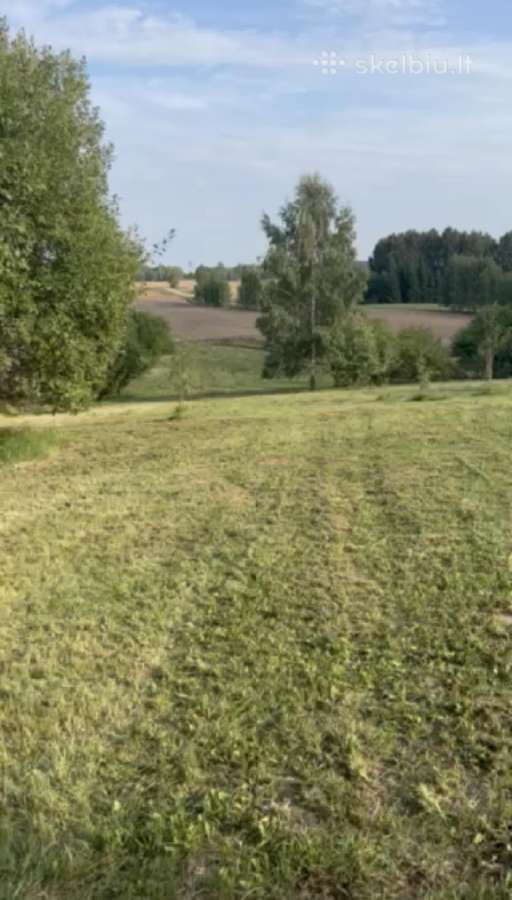 Parduodamas sklypas Peberžės sen. 30km nuo centro - nuotraukos Nr. 4