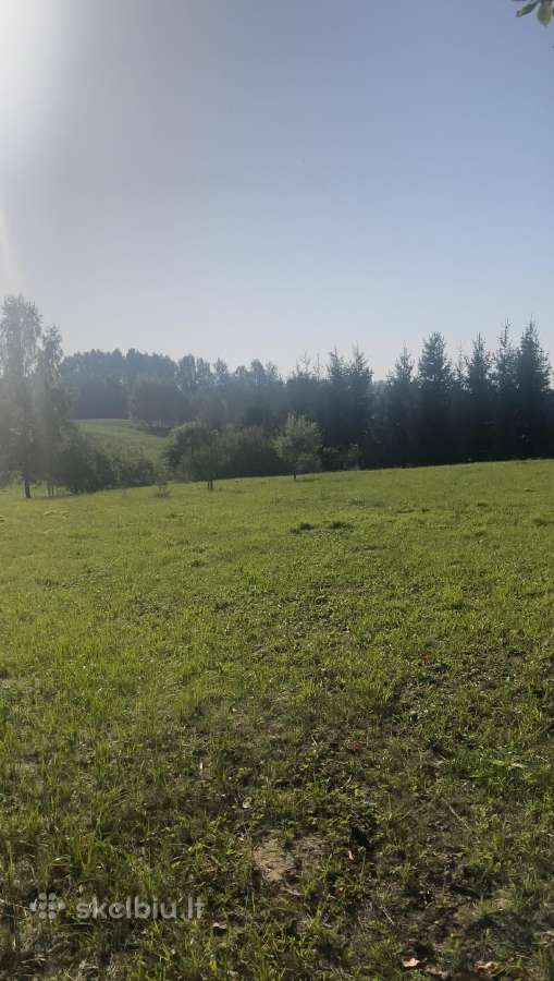 Parduodamas sklypas Peberžės sen. 30km nuo centro - nuotraukos Nr. 2