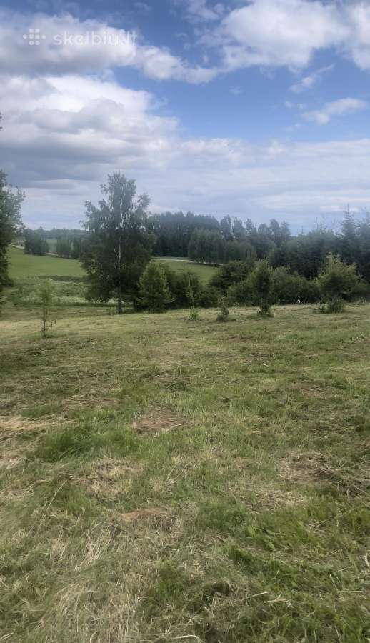 Parduodamas sklypas Peberžės sen. 30km nuo centro - nuotraukos Nr. 6