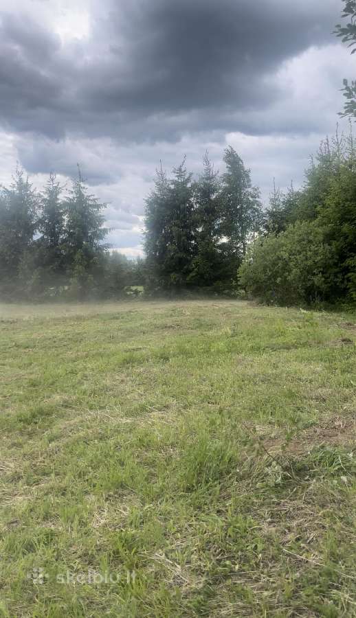 Parduodamas sklypas Peberžės sen. 30km nuo centro - nuotraukos Nr. 7