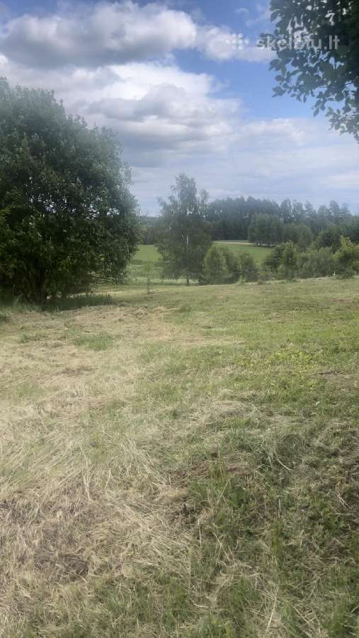 Parduodamas sklypas Peberžės sen. 30km nuo centro - nuotraukos Nr. 8