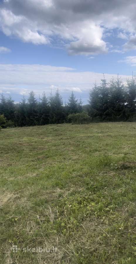 Parduodamas sklypas Peberžės sen. 30km nuo centro - nuotraukos Nr. 9