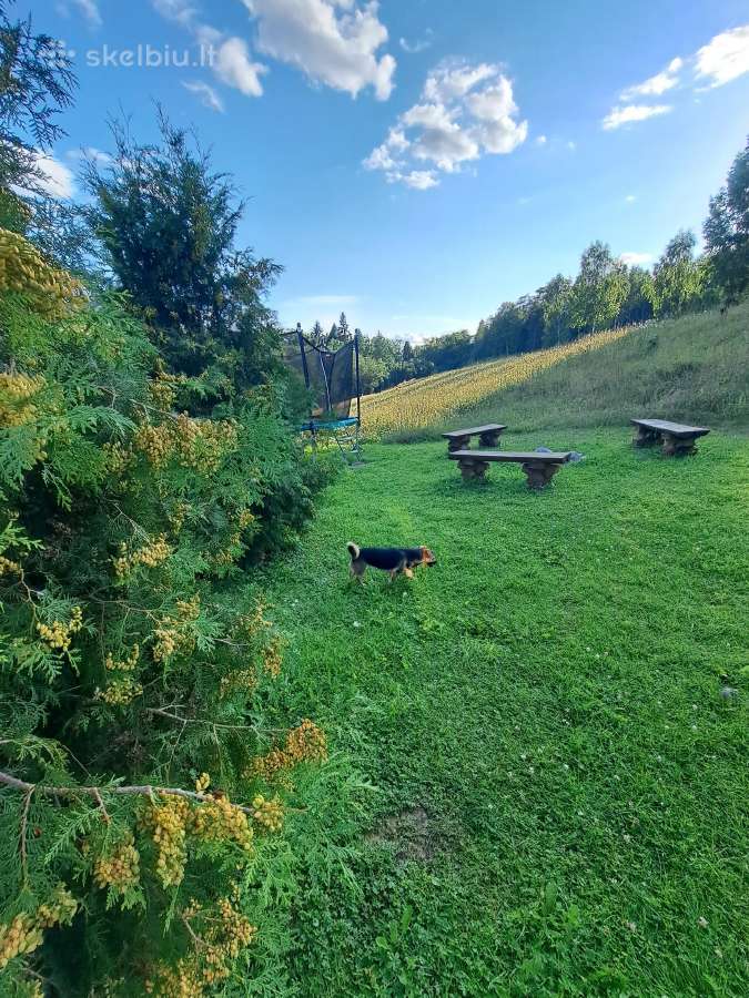 Pirtis, Kubilas, Gamtos Apsuptyje Kauno Raj - nuotraukos Nr. 5