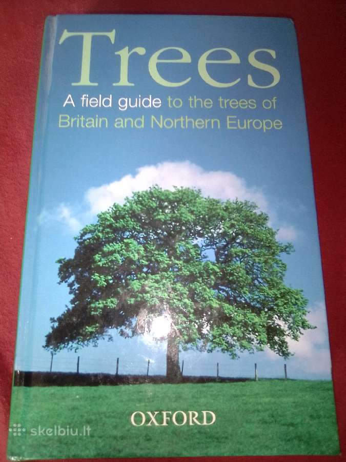 Trees a field guide to the trees in Britain