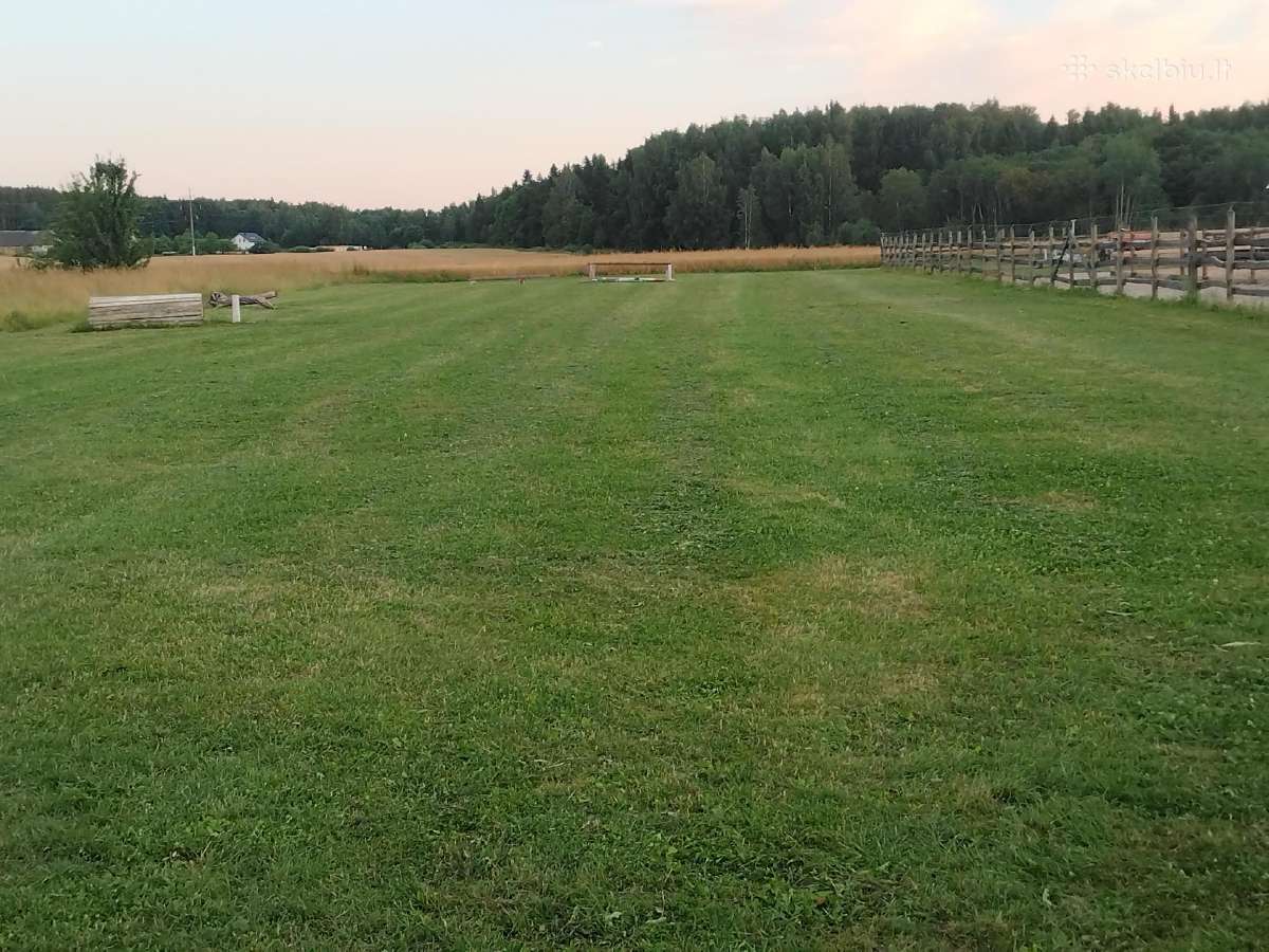 Žolės pjovimas Šiauliuose, Šiaulių raj. - nuotraukos Nr. 12