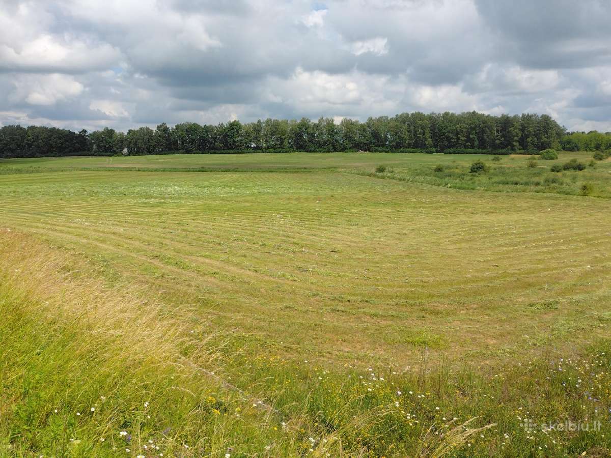 Žolės pjovimas Šiauliuose, Šiaulių raj. - nuotraukos Nr. 13