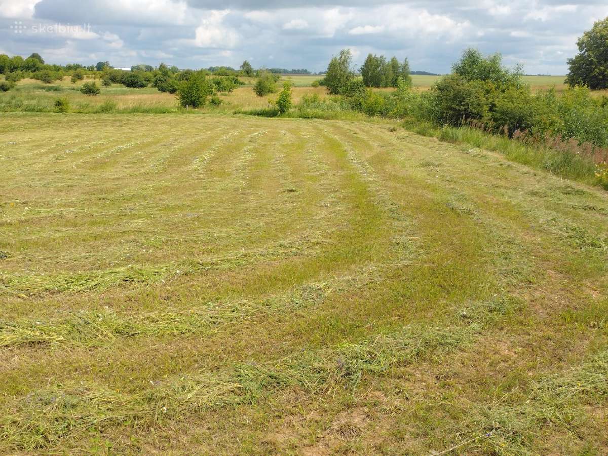 Žolės pjovimas Šiauliuose, Šiaulių raj. - nuotraukos Nr. 14