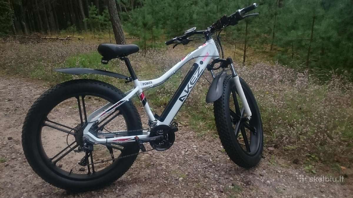 750w variklis 13 Ah 48 voltų baterija - nuotraukos Nr. 3