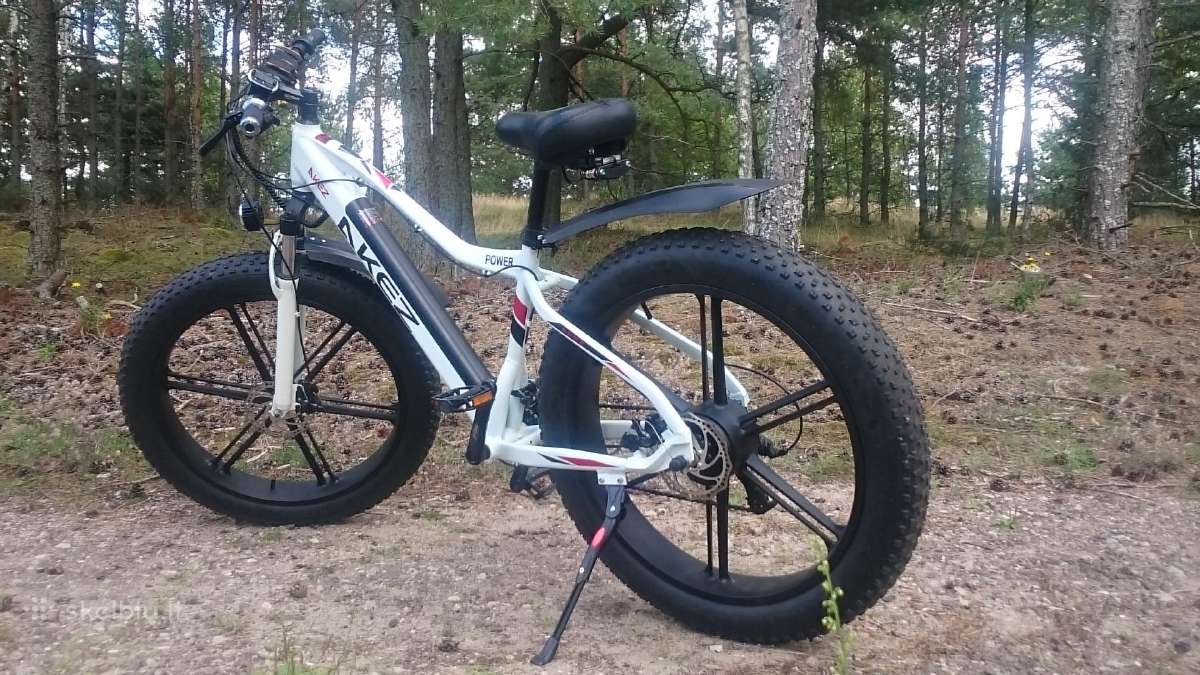 750w variklis 13 Ah 48 voltų baterija - nuotraukos Nr. 4