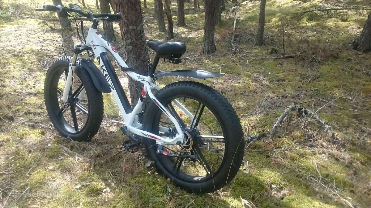 750w variklis 13 Ah 48 voltų baterija - nuotraukos Nr. 11