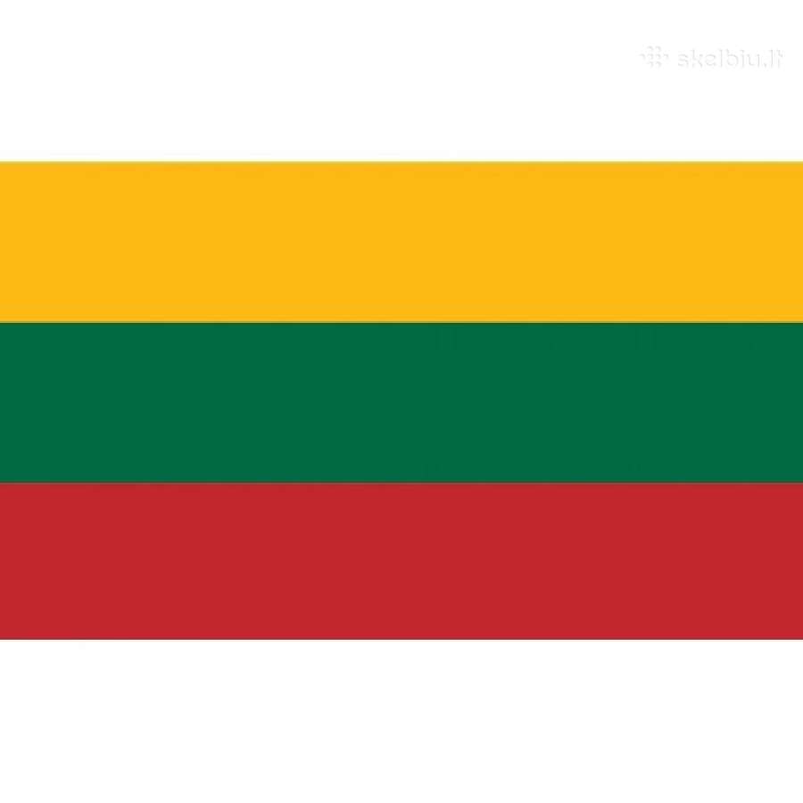 CE Vairuotojas Vilniuje ir po Lietuvą