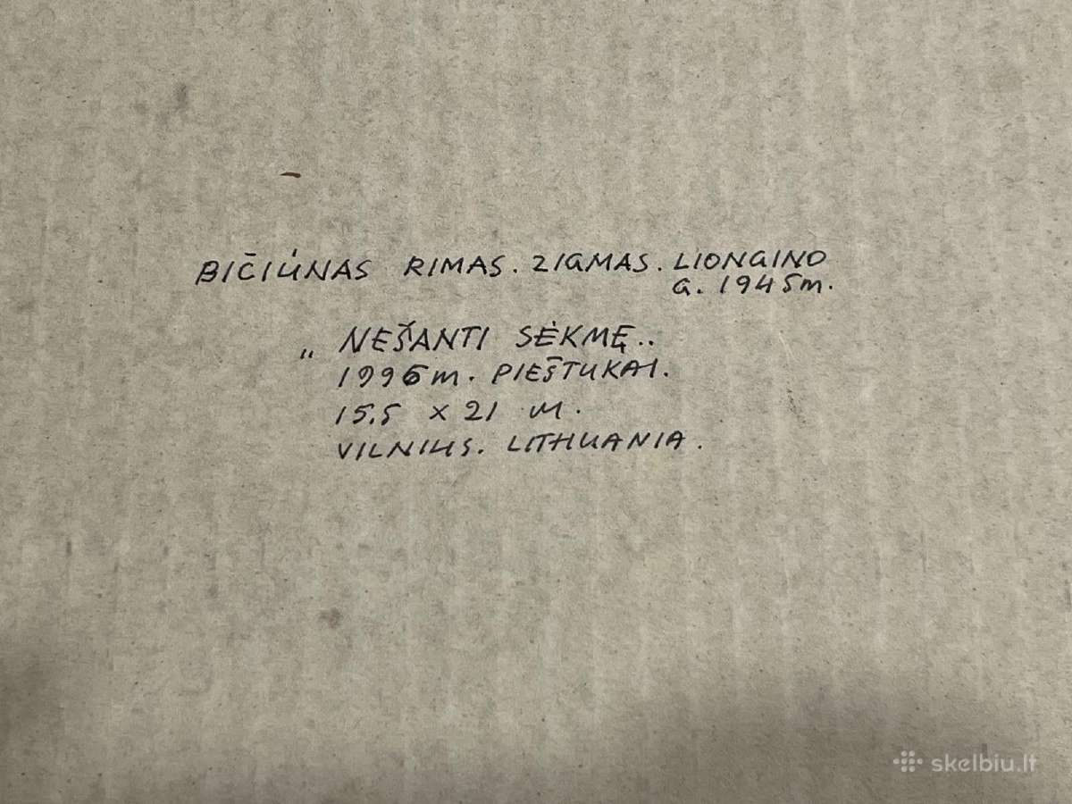 Rimas Bičiūnas paveikslas - nuotraukos Nr. 2