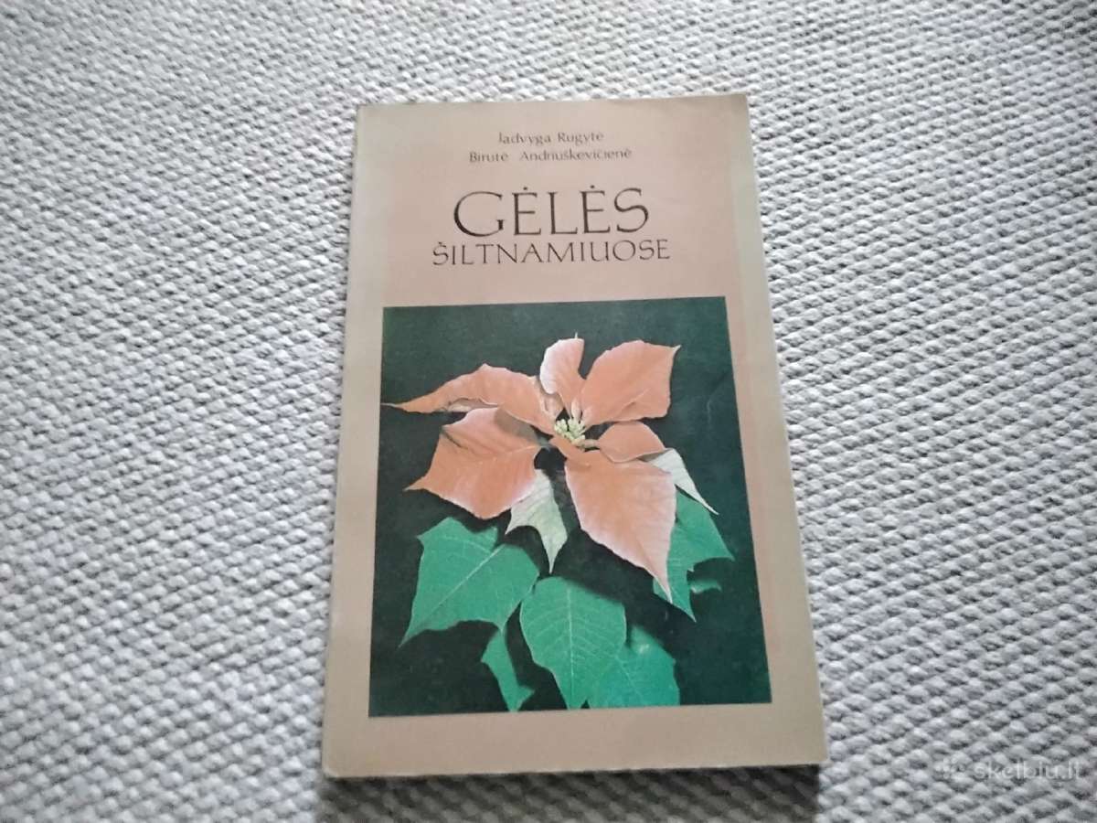 Gėlės šiltnamiuose Jadvyga Rugytė, Birutė Andriušk