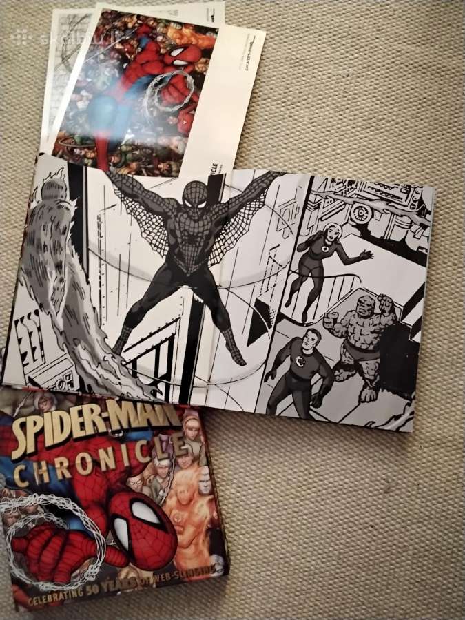Spider-man Year by Year a Visual Chronicle - nuotraukos Nr. 6