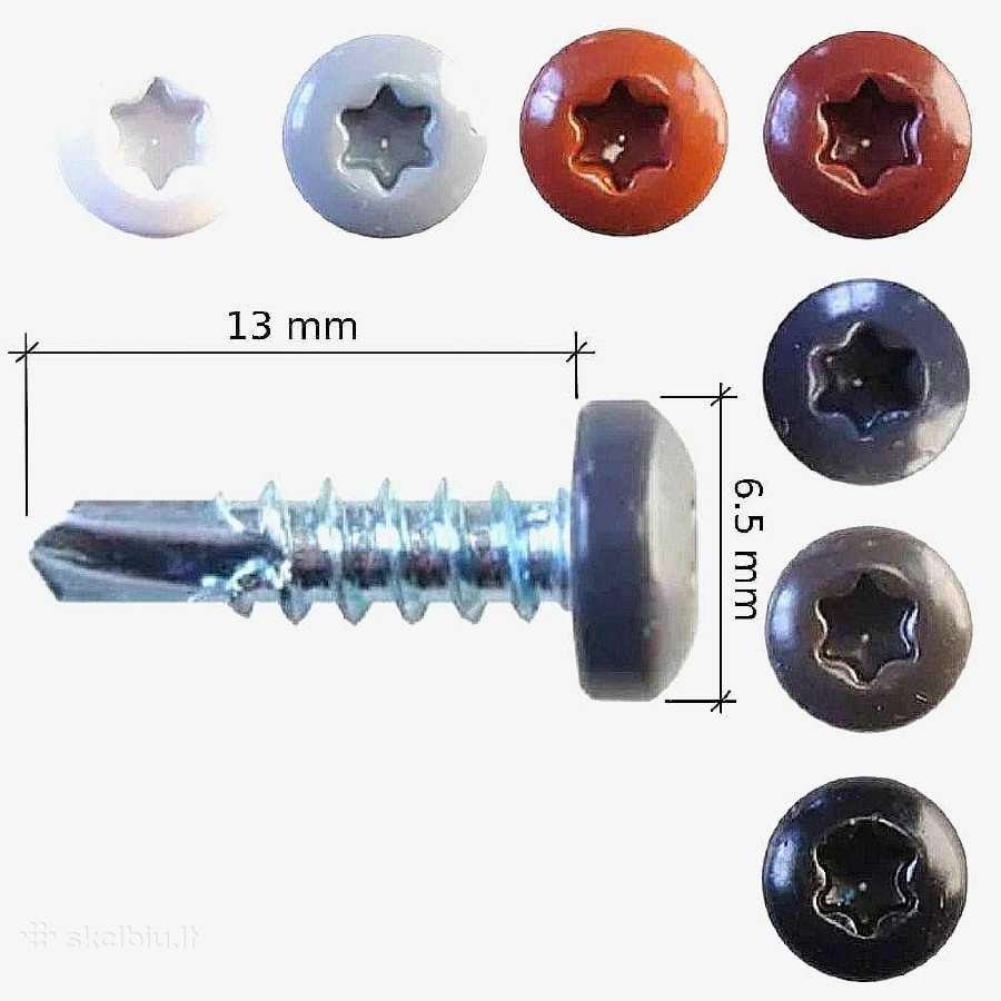 Savisriegiai skardai tvirtinti su Torx galvute