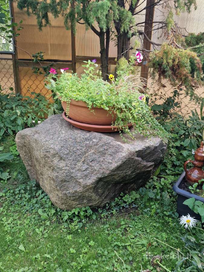 Dovanojamas akmuo