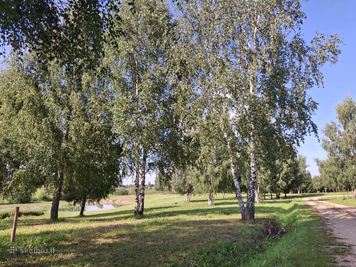 Parduodami sklypai - nuotraukos Nr. 8