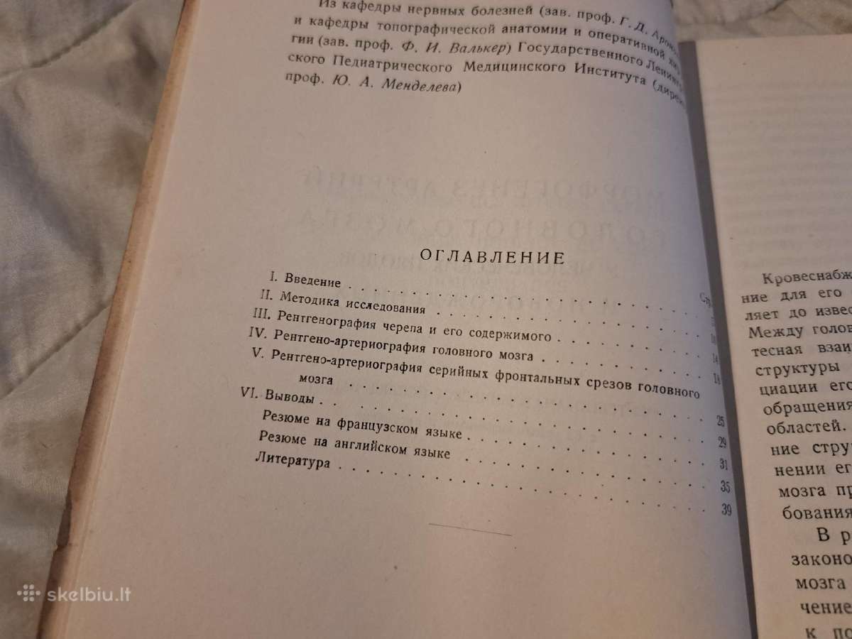 Smegenų arterijų morfogenezė - nuotraukos Nr. 3