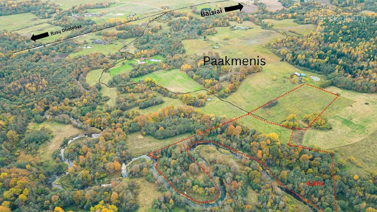 Žemė sodybos atstatymui Šilalės Rajone - nuotraukos Nr. 8