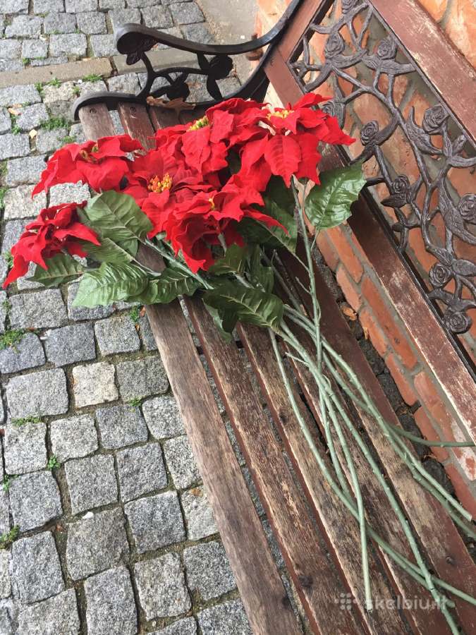 Dirbtinės gėlės puansetijos - nuotraukos Nr. 3