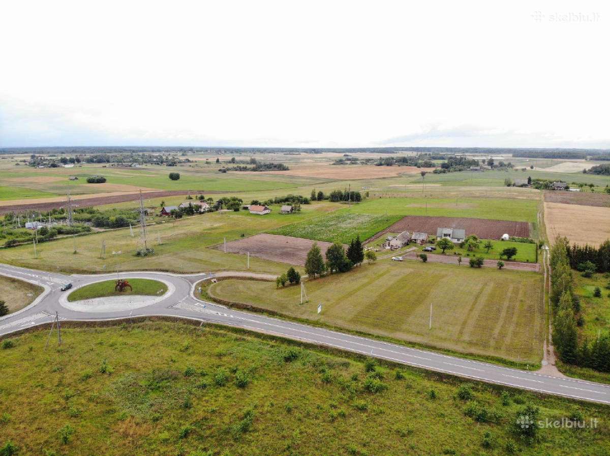 Bulvės,svogūnai,burokėliai iš mažo šeimos ūkio - nuotraukos Nr. 7