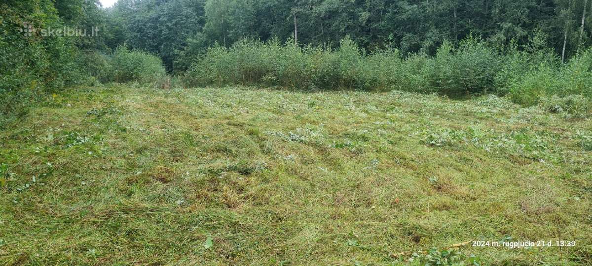Namų valda 0,5340 ha Vilties g. Ignalina