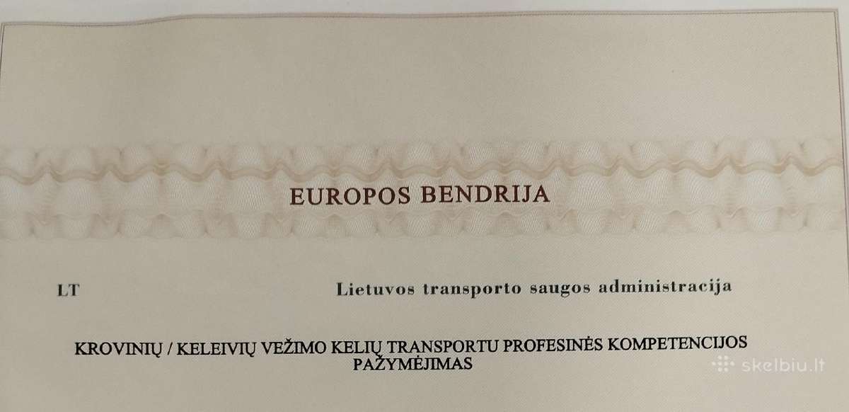 Keleivių, krovinių transporto vadybininkas