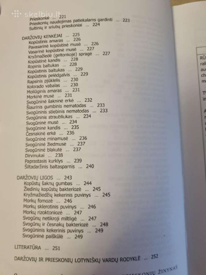 Mažasis daržovių ir prieskonių žinynas - nuotraukos Nr. 5