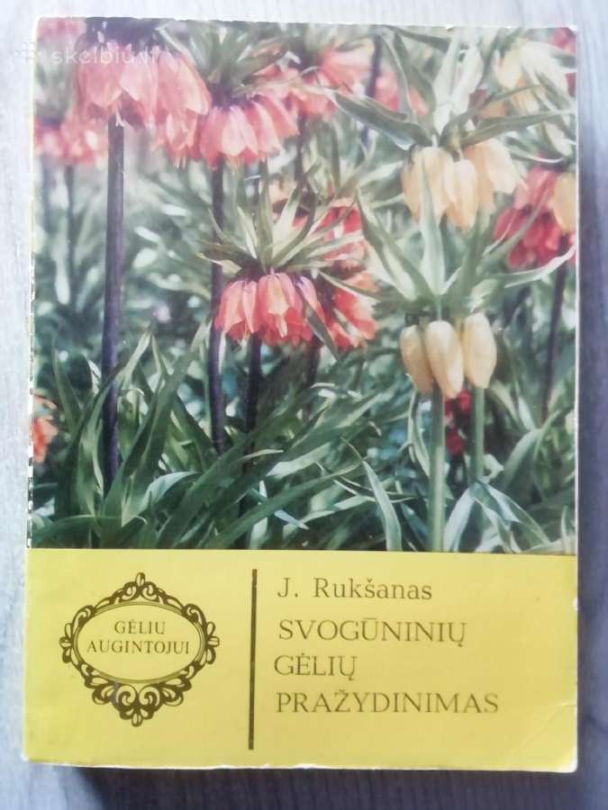 Knyga Svogunieiu geliu prazydinimas