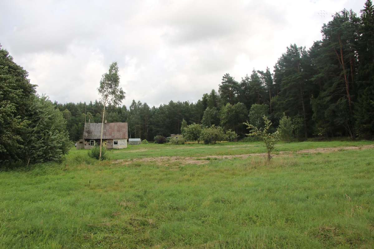Parduodama sodyba. - nuotraukos Nr. 3