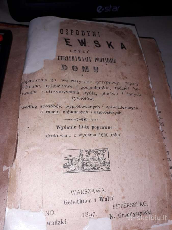 Gospodyni Litewska - nuotraukos Nr. 2