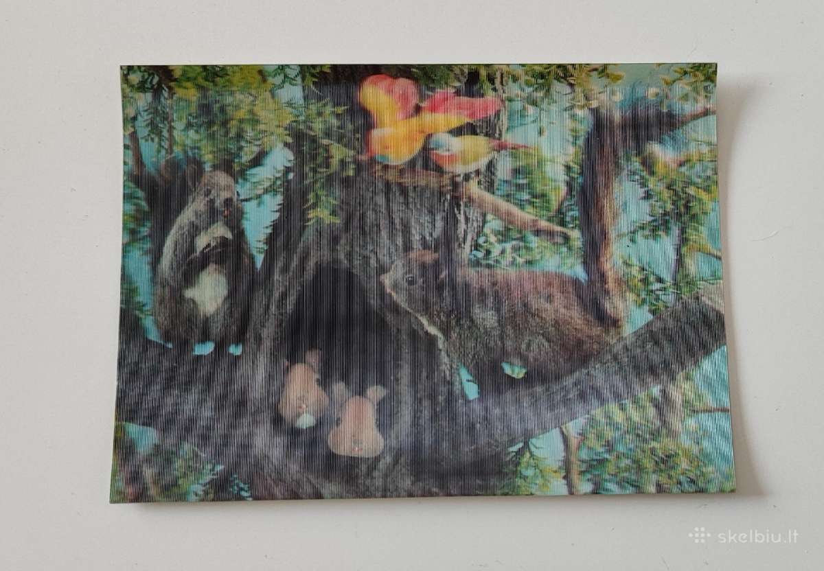 Holografinė (3D) atvirutė - nuotraukos Nr. 3