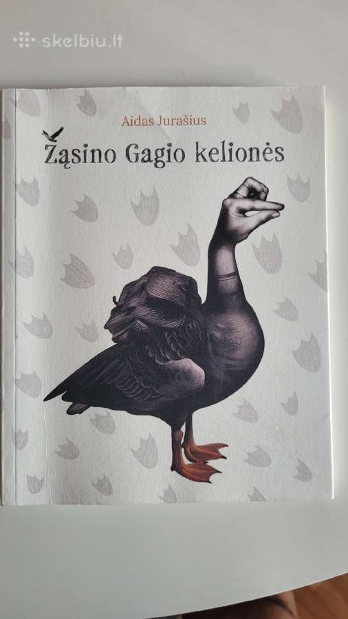 Knyga Žąsino Gagio kelionės Aidas Jurašius
