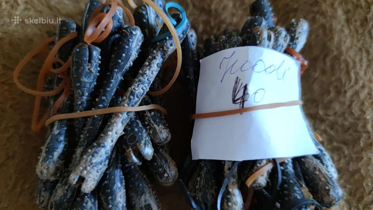 Yvairus Cheminiu Suktukai-bigudukai - nuotraukos Nr. 3