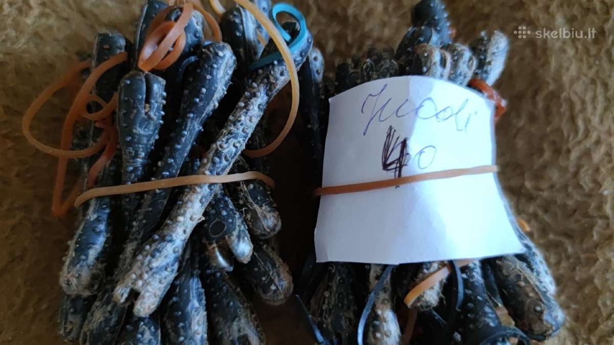 Tarybiniu laiku plauku suktukai-bigudukai Ir Netik - nuotraukos Nr. 6