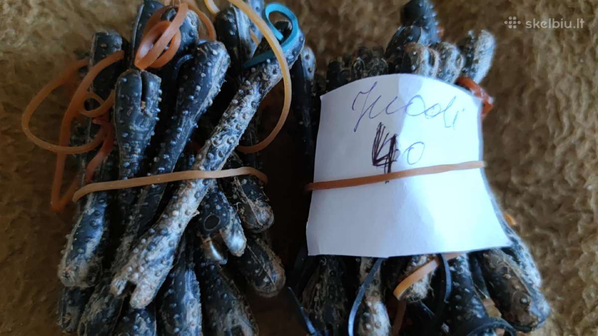 Plauku suktukai-bigudukai yv,dydziu Ir Ne Tik, - nuotraukos Nr. 7