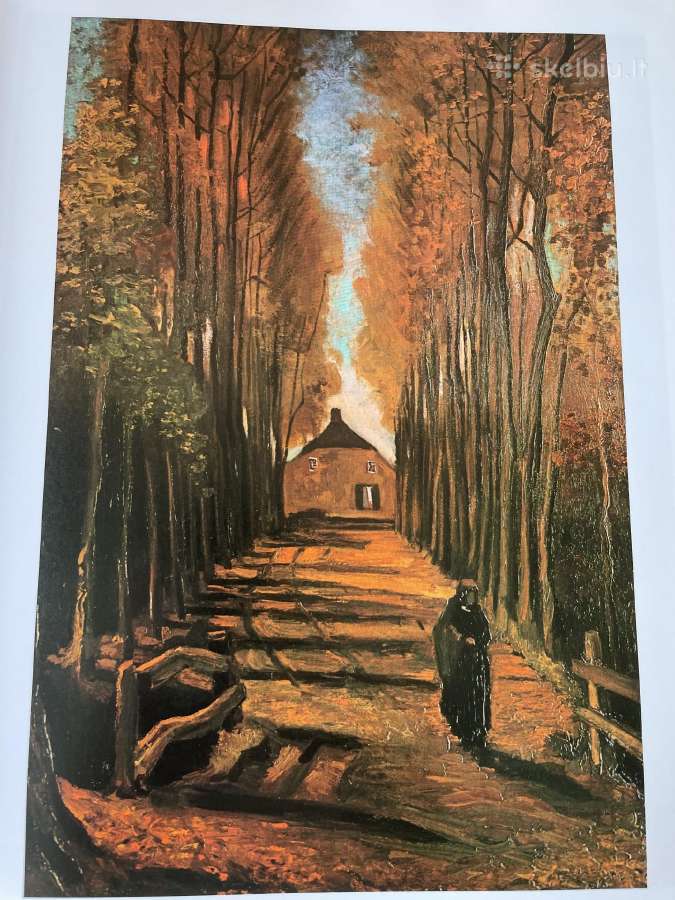 Knyga Van Gogh darbu - nuotraukos Nr. 3