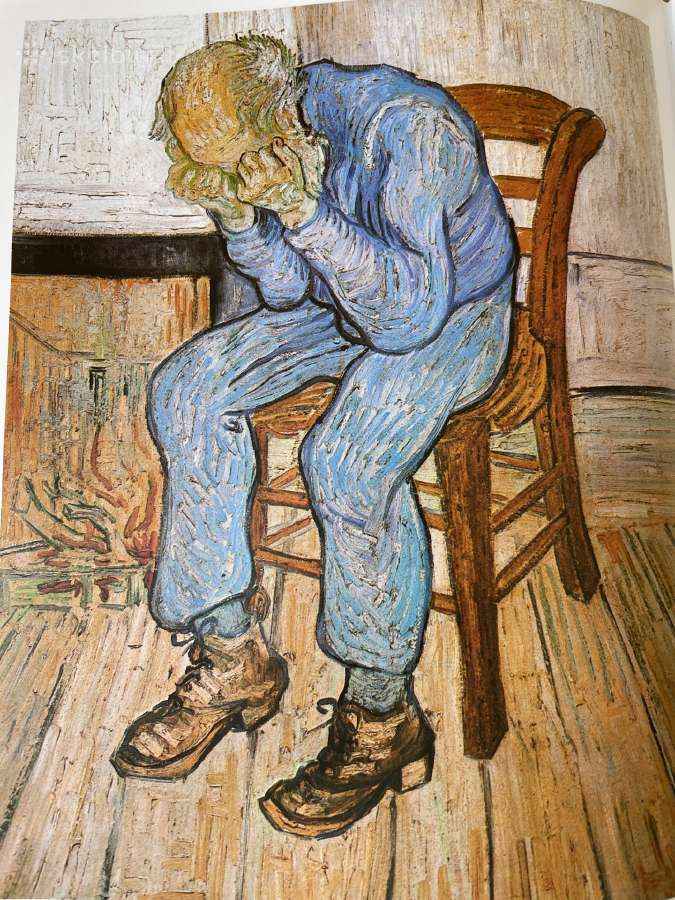 Knyga Van Gogh darbu - nuotraukos Nr. 9