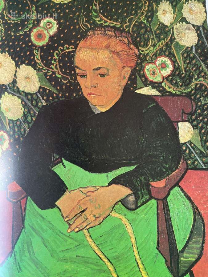 Knyga Van Gogh darbu - nuotraukos Nr. 10