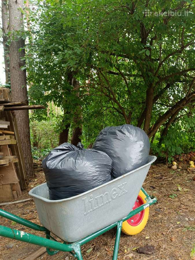 Ekologiška trąša: arklių mėšlas