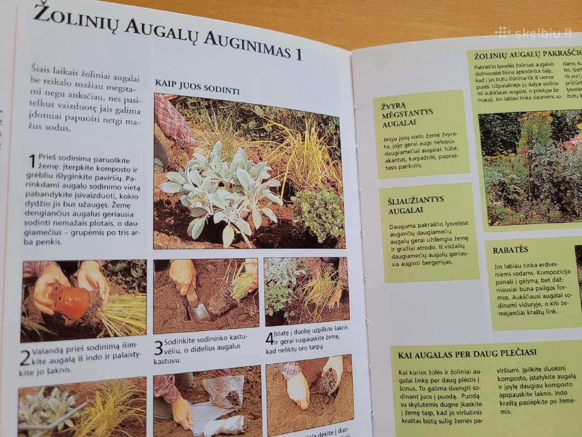 Knyga Mažoji Sodininko Enciklopedija - nuotraukos Nr. 3
