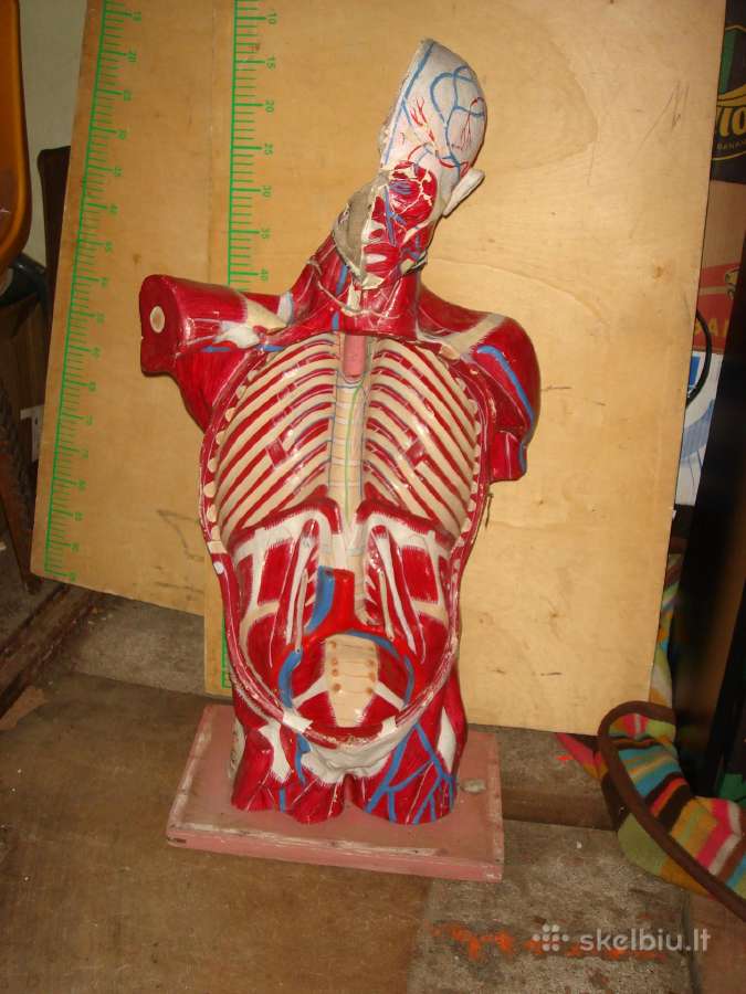 Tarybiniu laiku