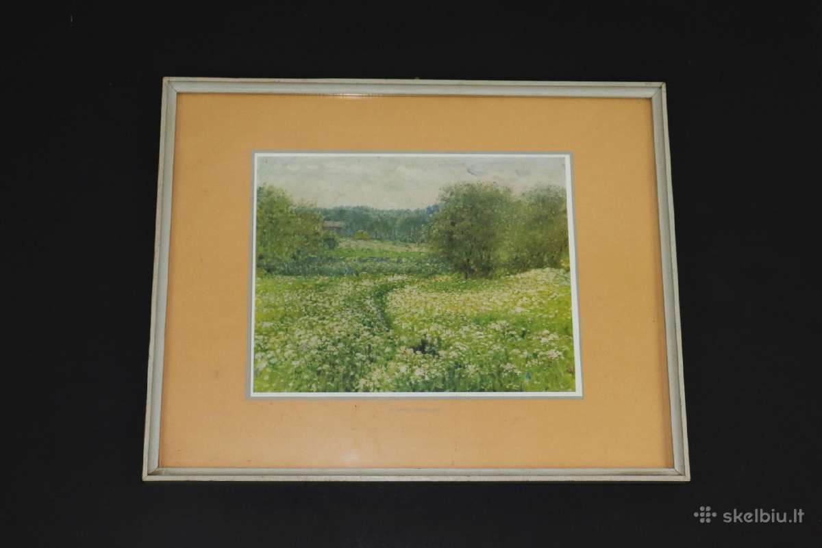 Printas kaina 25 eurai