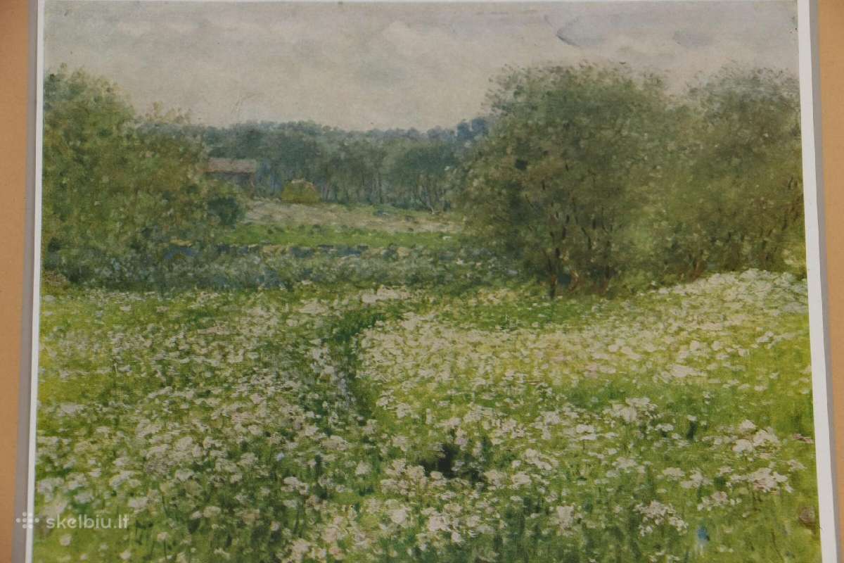 Printas kaina 25 eurai - nuotraukos Nr. 3
